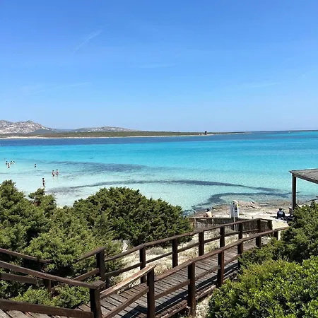 Hébergement de vacances Giulia Fronte Mare *